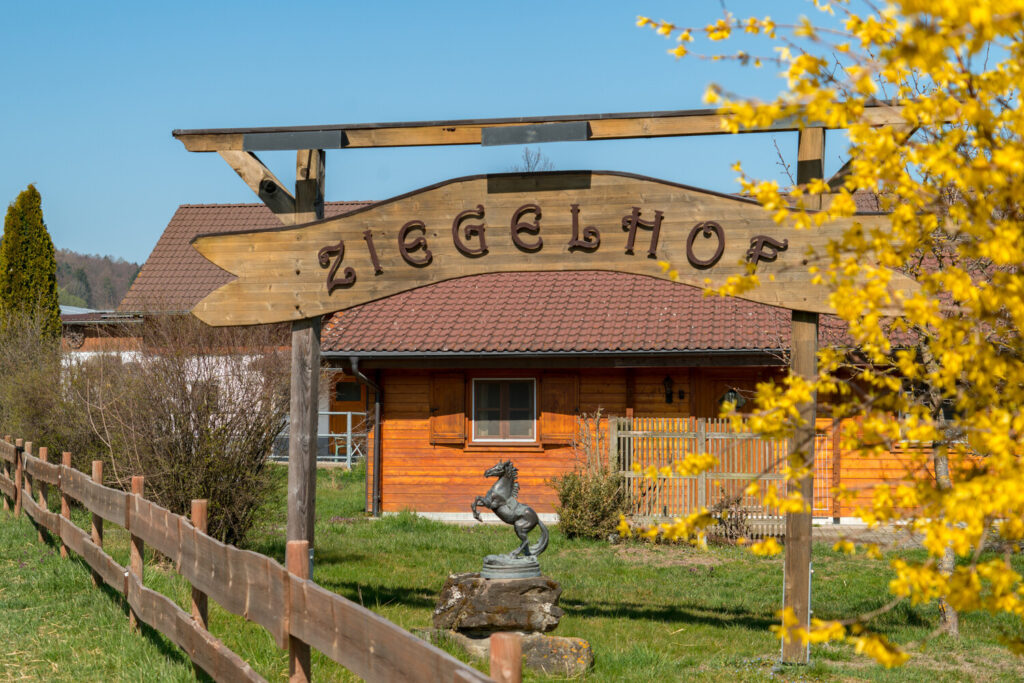 Radolfzell Restaurant