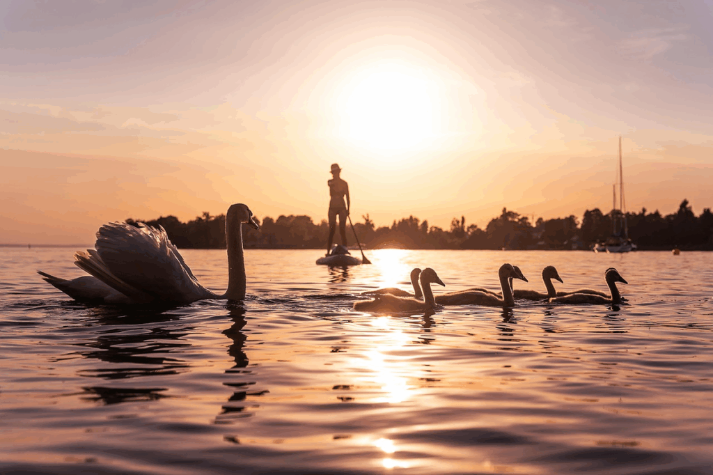 Bodensee bei Sonnenuntergang